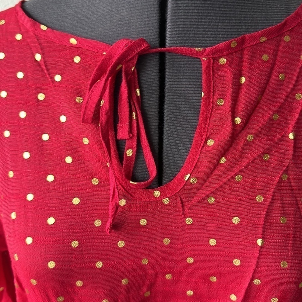 Alex and Parker dress size medium red gold, polkadots soft girl - Picture 2 of 9